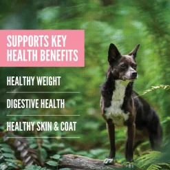 ORIJEN Amazing Grains High-Protein Small Breed Dry Dog Food
