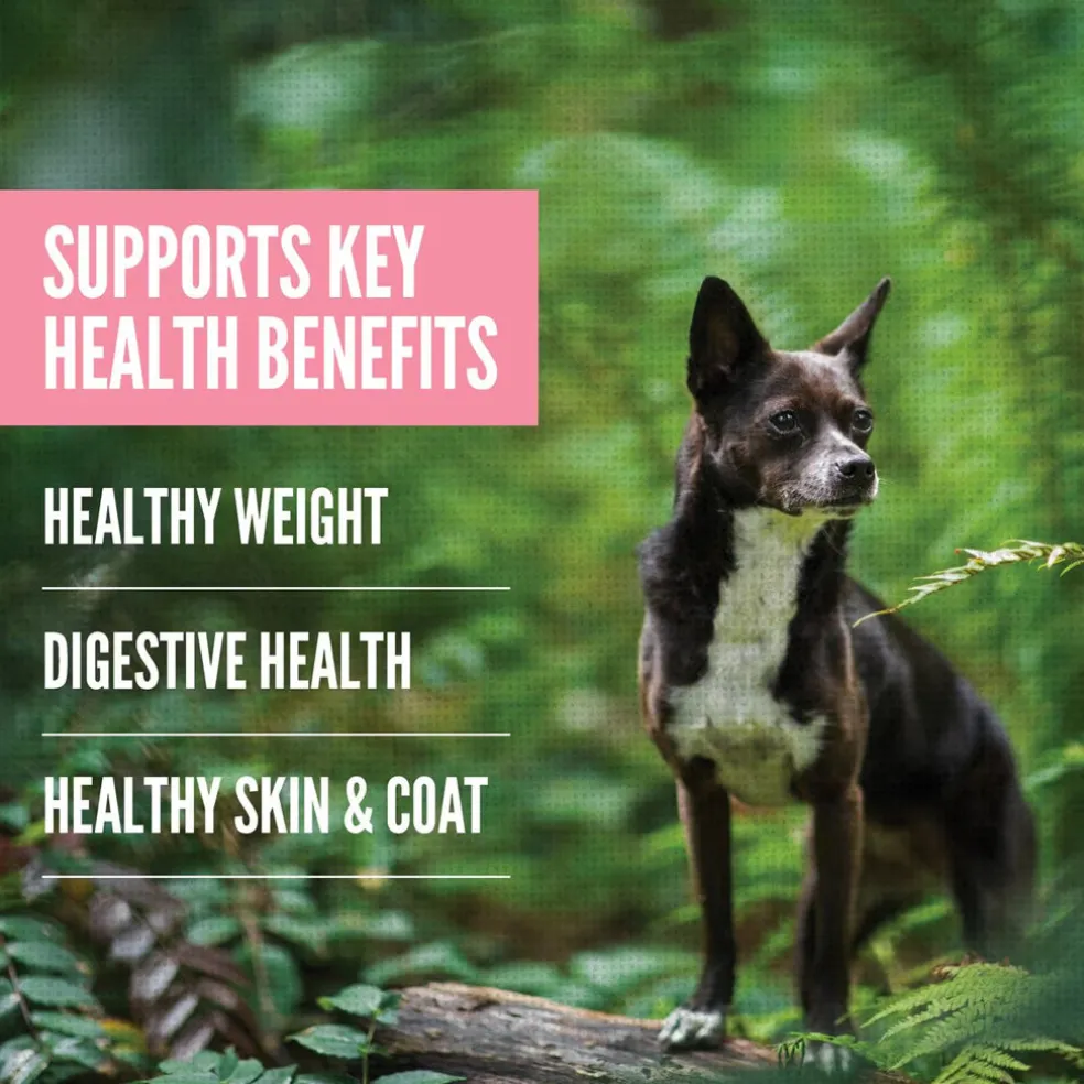 ORIJEN Amazing Grains High-Protein Small Breed Dry Dog Food
