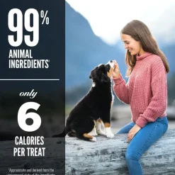 ORIJEN Free Run Duck Grain-Free High-Protein Freeze Dried Dog Treats, 3.25-oz bag