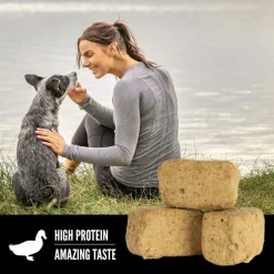 ORIJEN Free Run Duck Grain-Free High-Protein Freeze Dried Dog Treats, 3.25-oz bag