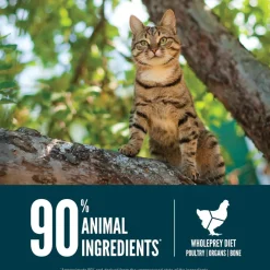 ORIJEN Guardian 8 Grain-Free High-Protein Premium Dry Cat Food