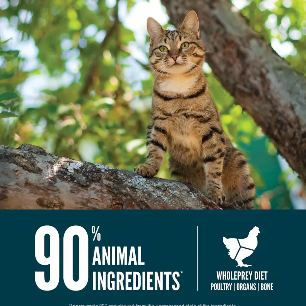 ORIJEN Guardian 8 Grain-Free High-Protein Premium Dry Cat Food