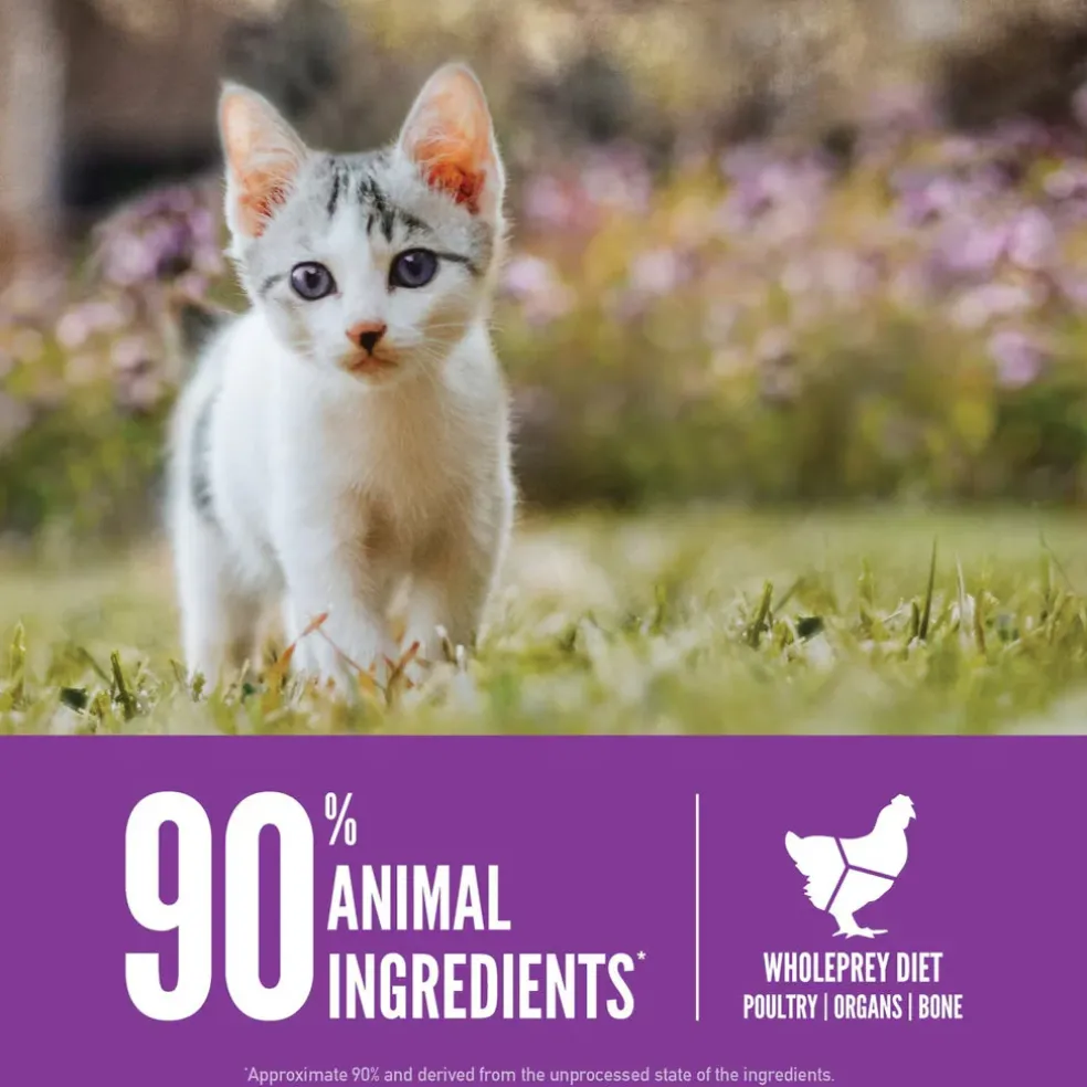 ORIJEN Kitten Grain-Free High-Protein Premium Dry Cat Food