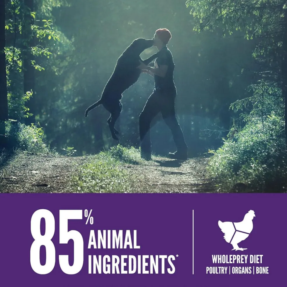 ORIJEN Large Breed Adult Grain-Free High-Protein Dry Dog Food, 23.5-lb