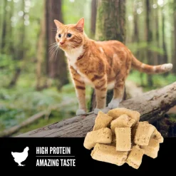 ORIJEN Original Freeze Dried Grain-Free High-Protein Raw Animal Ingredients Cat Treats, 1.25-oz bag