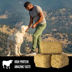 ORIJEN Original Grain-Free High-Protein Freeze-Dried Dog Treats