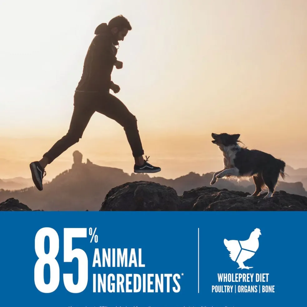 Orijen Original Recipe Dry Dog Food