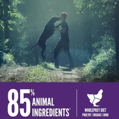 ORIJEN Puppy Large Grain-Free High-Protein Dry Dog Food