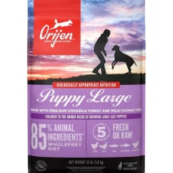 ORIJEN Puppy Large Grain-Free High-Protein Dry Dog Food