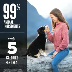 ORIJEN Ranch-Raised Beef Grain-Free High-Protein Freeze Dried Dog Treats, 3.25-oz bag