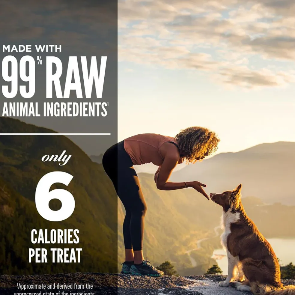 ORIJEN Regional Red Grain-Free High-Protein Freeze-Dried Dog Treats