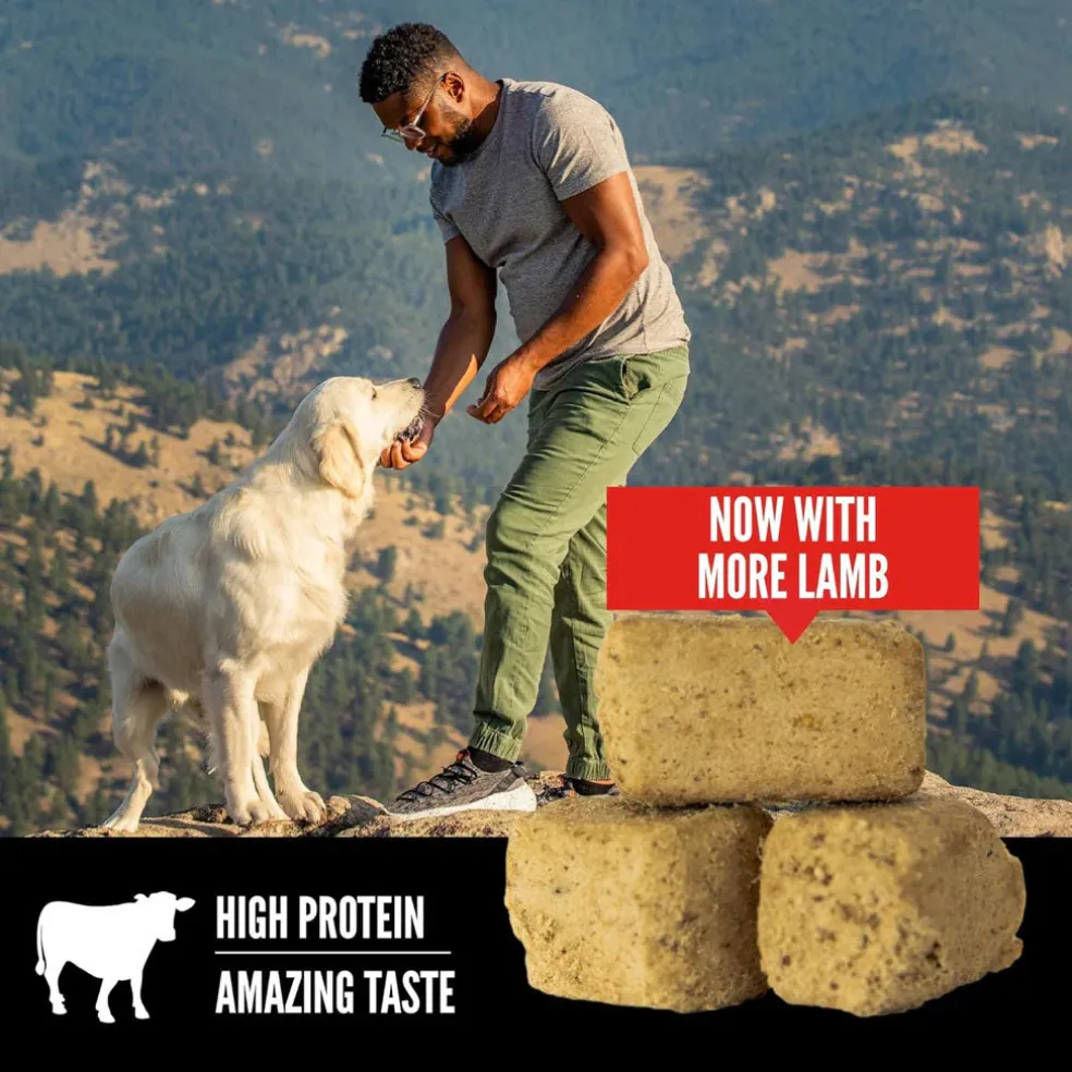 ORIJEN Regional Red Grain-Free High-Protein Freeze-Dried Dog Treats