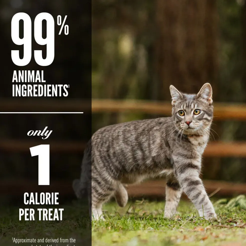ORIJEN Regional Red Grain-Free High-Protein Raw Animal Ingredients Freeze Dried Cat Treats, 1.25-oz bag