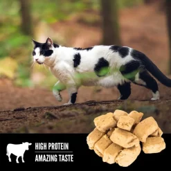 ORIJEN Regional Red Grain-Free High-Protein Raw Animal Ingredients Freeze Dried Cat Treats, 1.25-oz bag