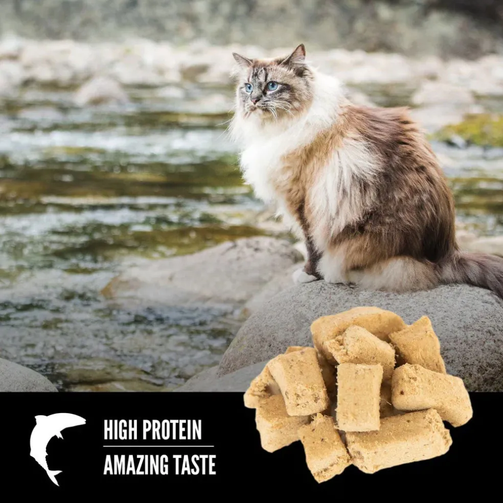 ORIJEN Six Fish Grain-Free High-Protein Raw Animal Ingredients Freeze Dried Cat Treats, 1.25-oz bag