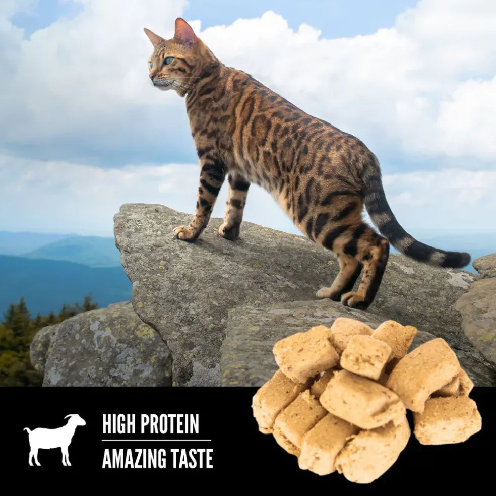 ORIJEN Tundra Grain-Free High-Protein Raw Animal Ingredients Freeze Dried Cat Treats, 1.25-oz bag