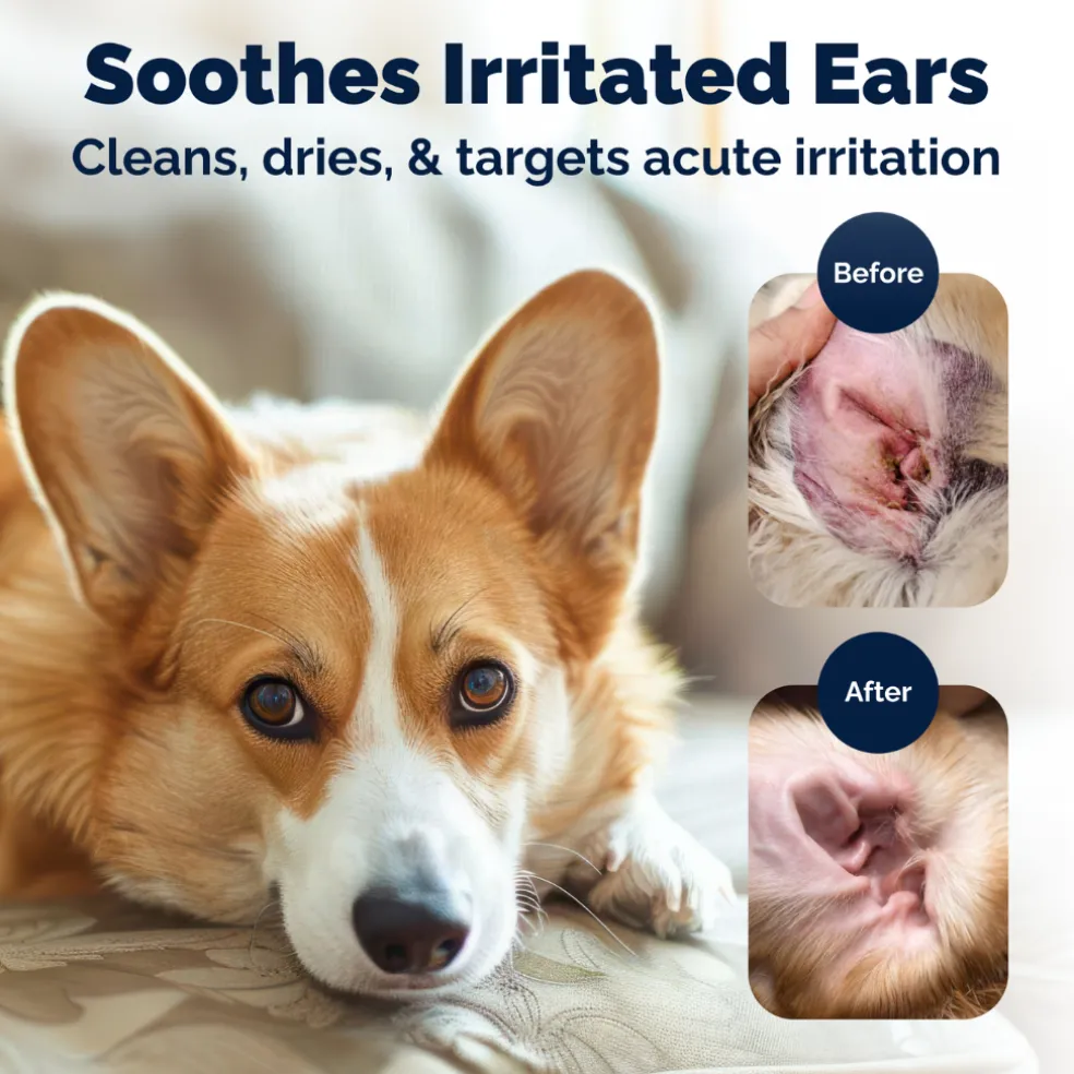 Oticbliss Advanced Vet Strength Medicated Ear Wipes for Cats & Dogs, 50 ct