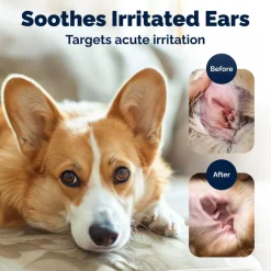 Oticbliss Advanced Vet Strength Allergy Ear Drops for Dogs and Cats, 1.8 oz