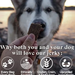 OTIS Wild Things Bison Jerky Treats for Dogs (4 oz)