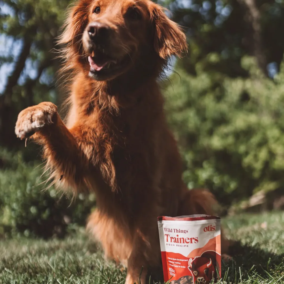 OTIS Wild Things Bison Trainers Bite-Sized Treats for Dogs (4 oz)