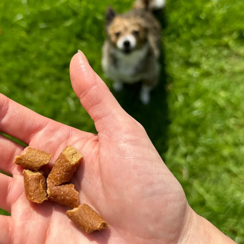 OTIS Wild Things Bison Trainers Bite-Sized Treats for Dogs (4 oz)