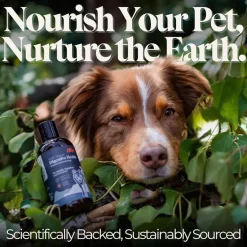 Otis Wild Things Digestive Health Ancestral Probiotics for Dogs, 8-oz