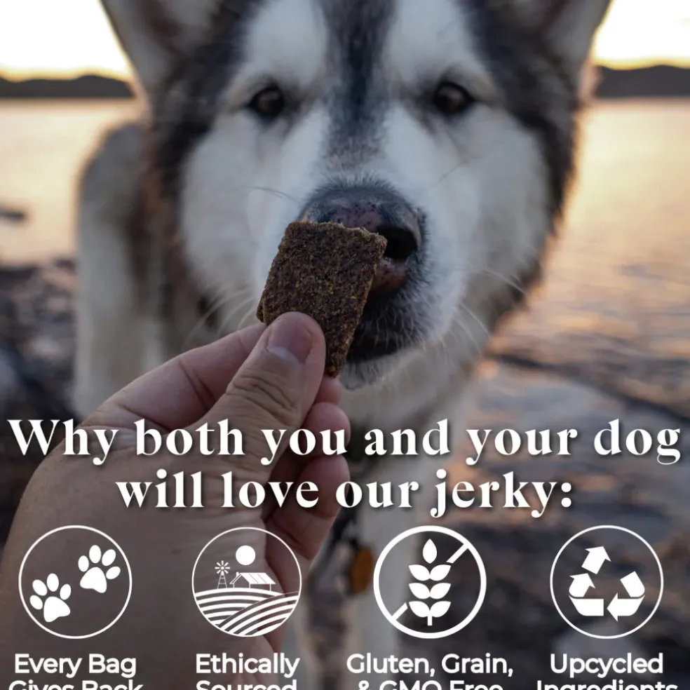 OTIS Wild Things Elk Jerky Treats for Dogs (4 oz)