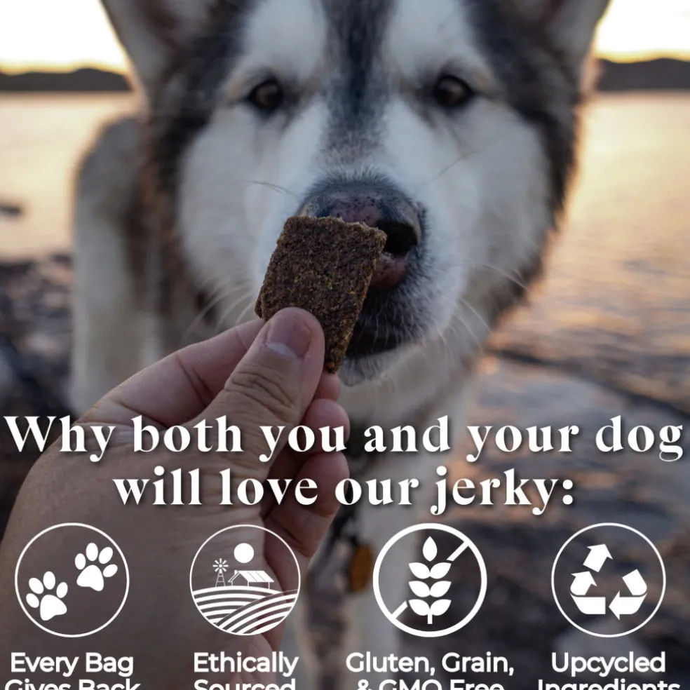 OTIS Wild Things Salmon Jerky Treats for Dogs (4 oz)