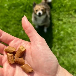 OTIS Wild Things Salmon Trainers Bite-Sized Treats for Dogs (4 oz)