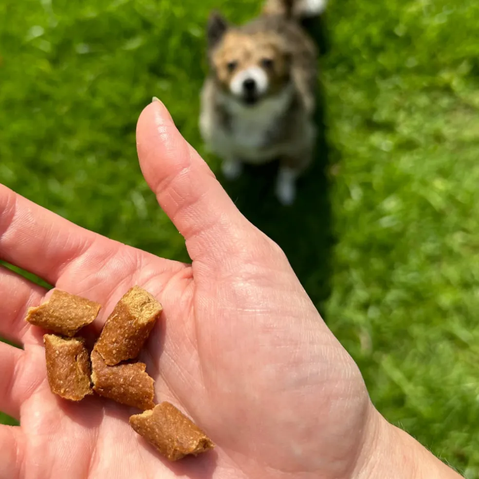 OTIS Wild Things Salmon Trainers Bite-Sized Treats for Dogs (4 oz)