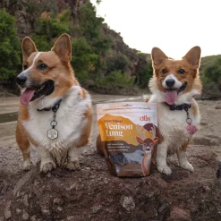 OTIS Wild Things Venison Lung Filets Treats for Dogs (4 oz)