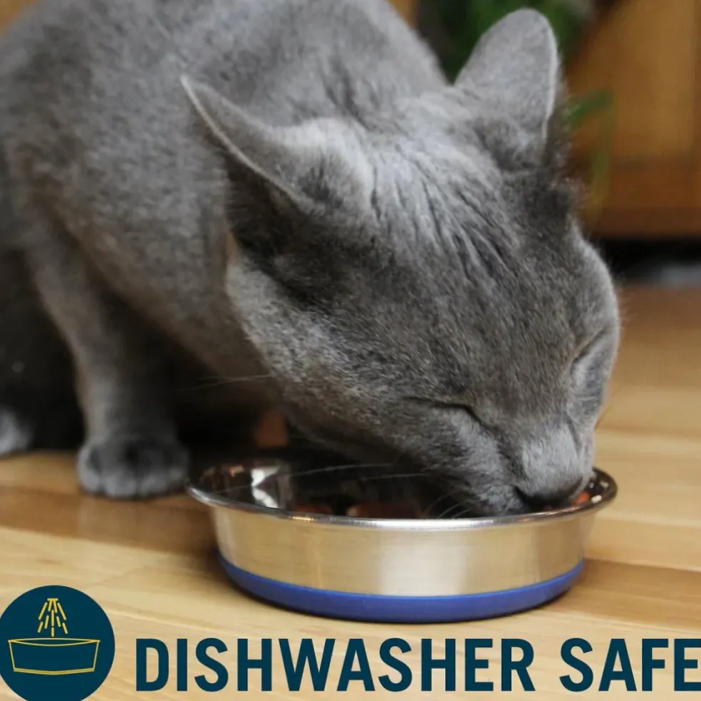 OurPets Durapet Premium Stainless Steel Pet Dish