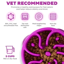 Outward Hound Fun Feeder Slo Bow Slow Feeder Dog Bowl, Purple Flower