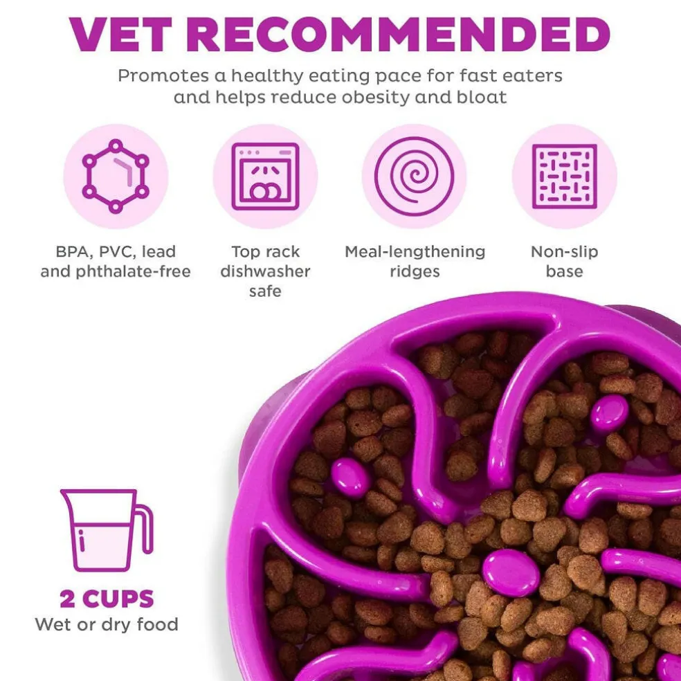 Outward Hound Fun Feeder Slo Bow Slow Feeder Dog Bowl, Purple Flower