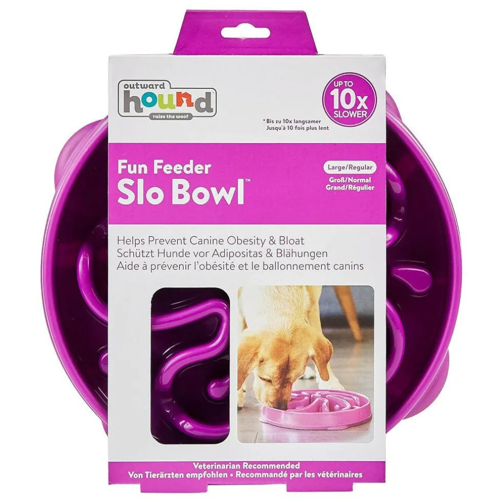 Outward Hound Fun Feeder Slo Bow Slow Feeder Dog Bowl, Purple Flower