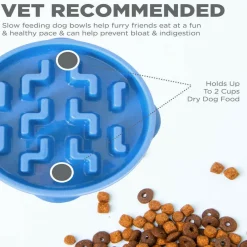 Outward Hound Fun Feeder Slo Bowl Slow Feeder Dog Bowl, Blue