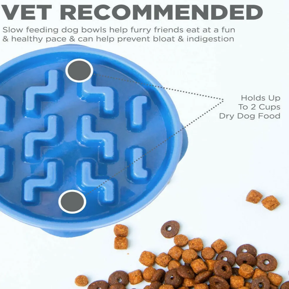 Outward Hound Fun Feeder Slo Bowl Slow Feeder Dog Bowl, Blue