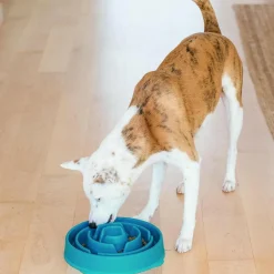 Outward Hound Fun Feeder Slo Bowl Slow Feeder Dog Bowl, Turquoise Drop