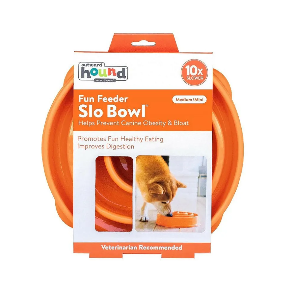 Outward Hound Fun Feeder Slo Bow Slow Feeder Dog Bowl, Orange Swirl