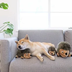 Outward Hound Hedgehogz Plush Dog Toy