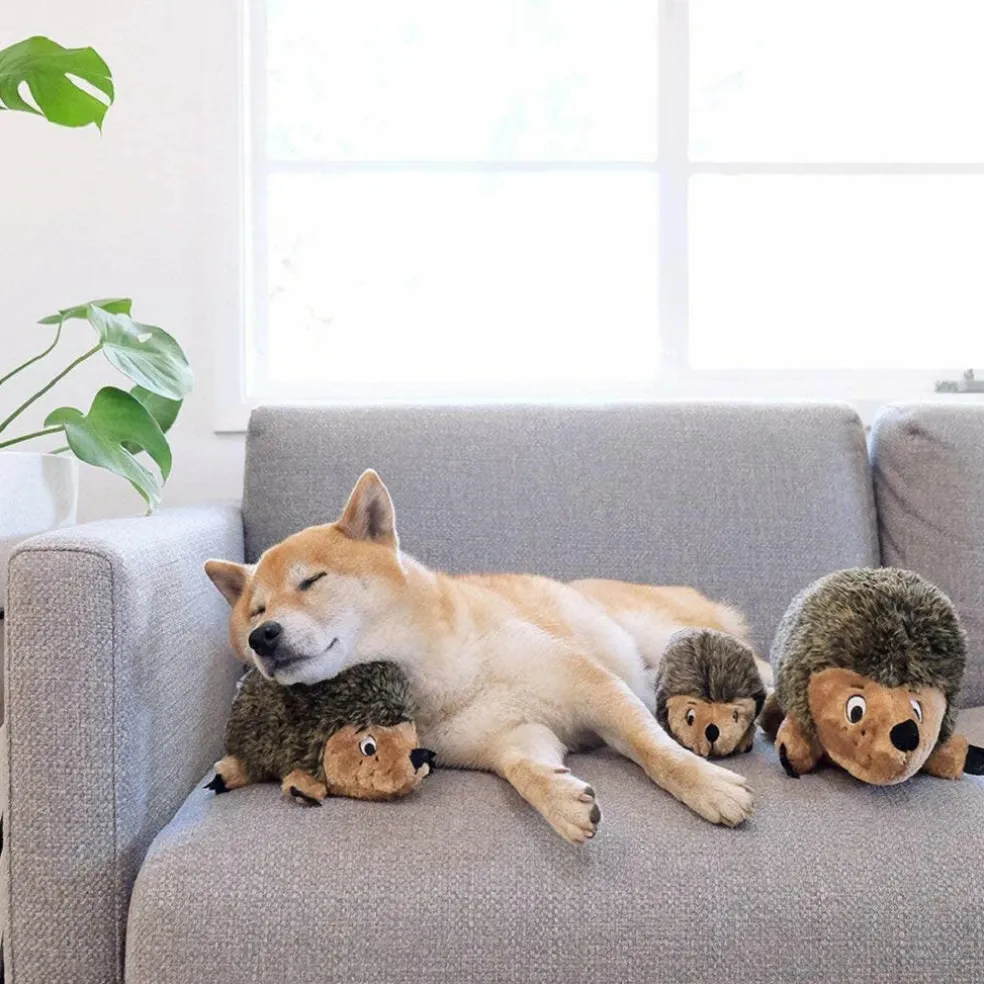 Outward Hound Hedgehogz Plush Dog Toy