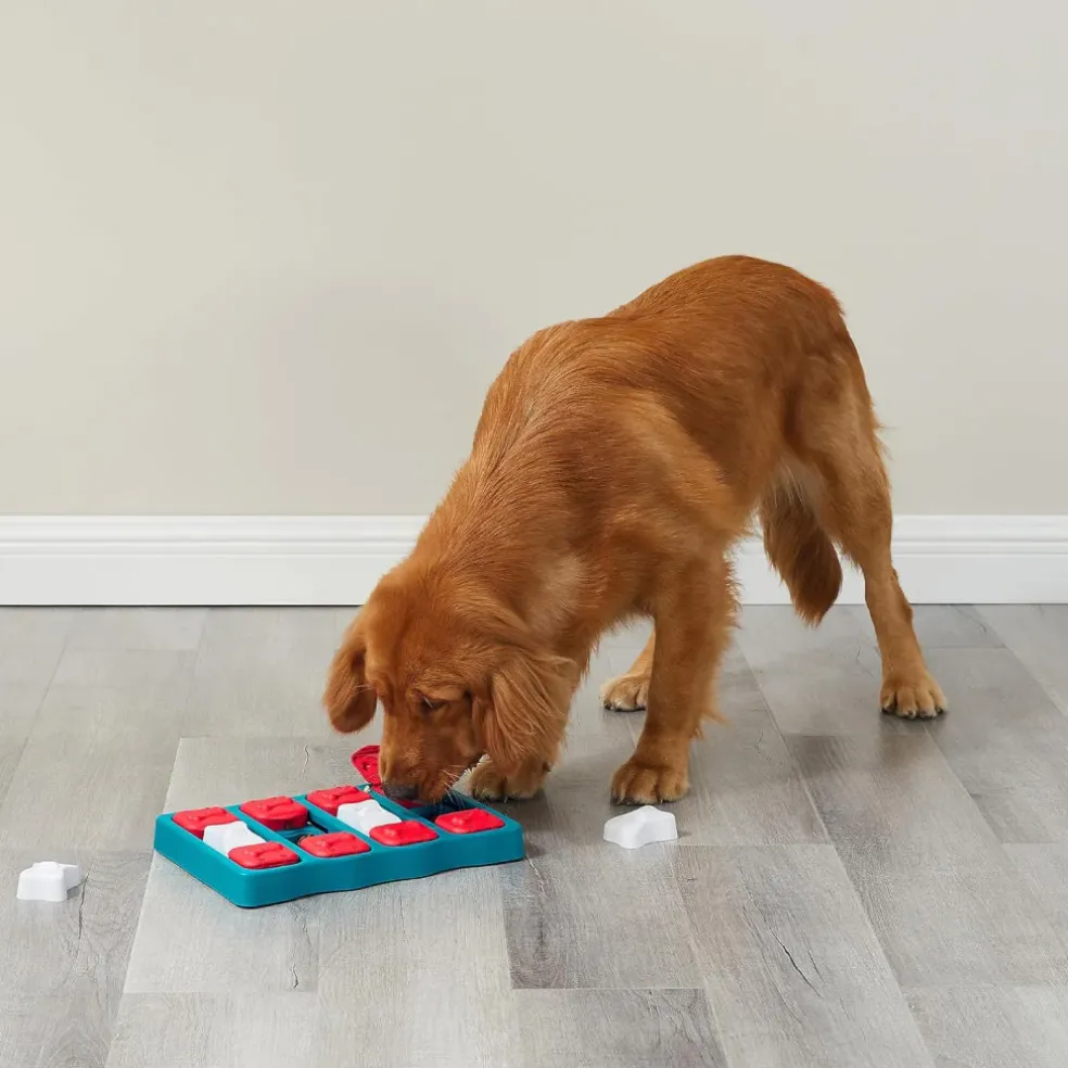 Outward Hound Nina Ottosson Brick Interactive Puzzle Toy For Dogs