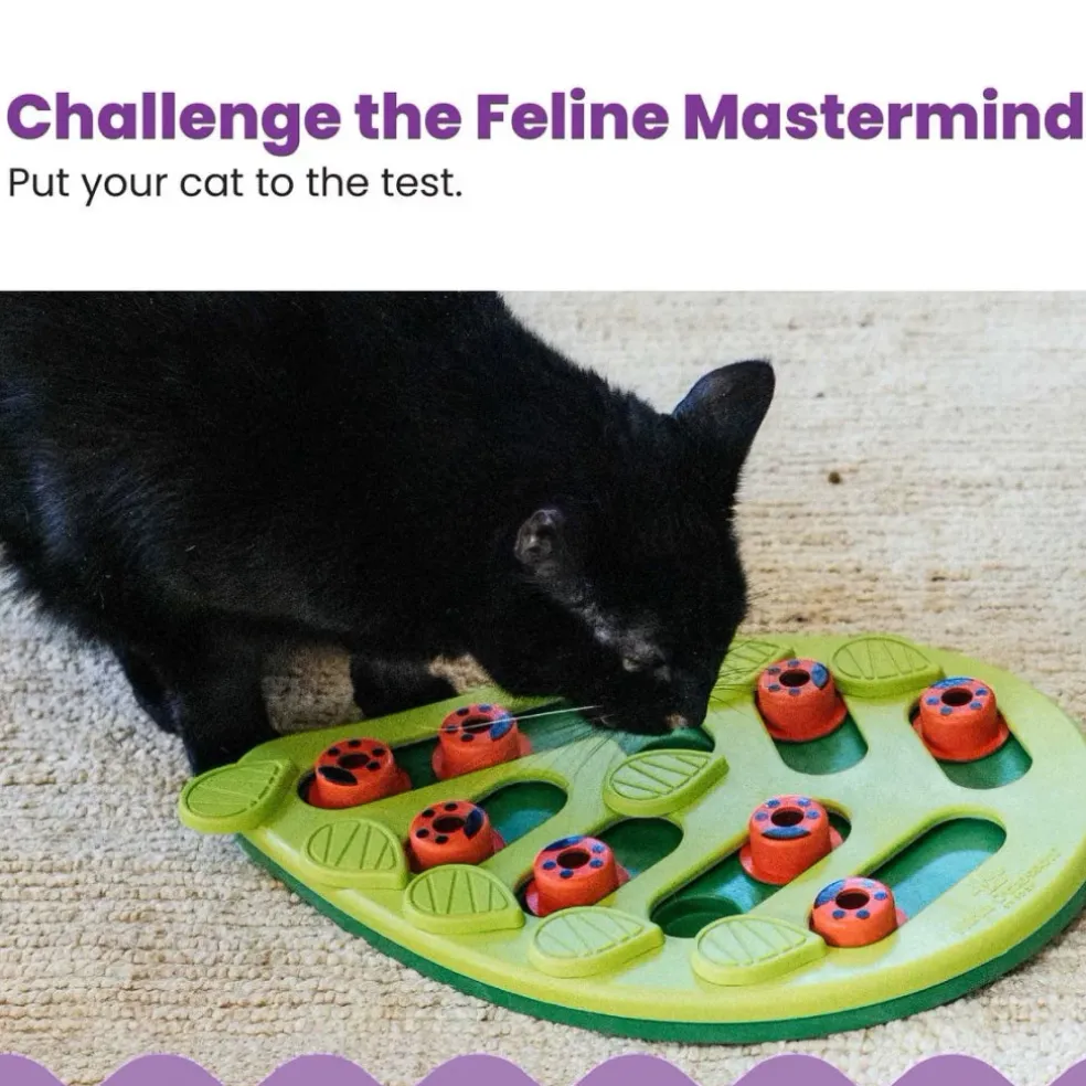 Outward Hound Nina Ottosson Buggin' Out Puzzle & Play Interactive Treat Puzzle For Cats