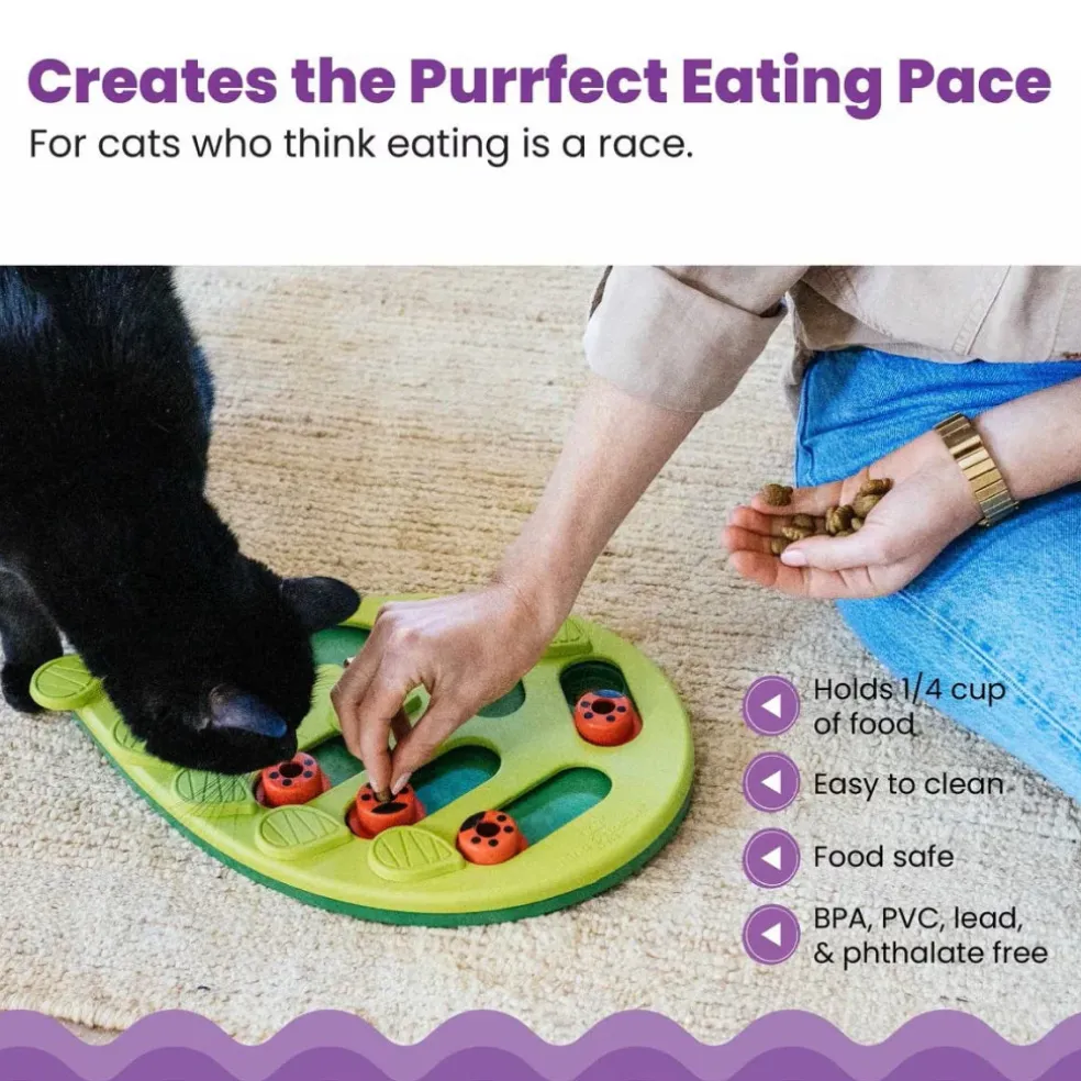 Outward Hound Nina Ottosson Buggin' Out Puzzle & Play Interactive Treat Puzzle For Cats