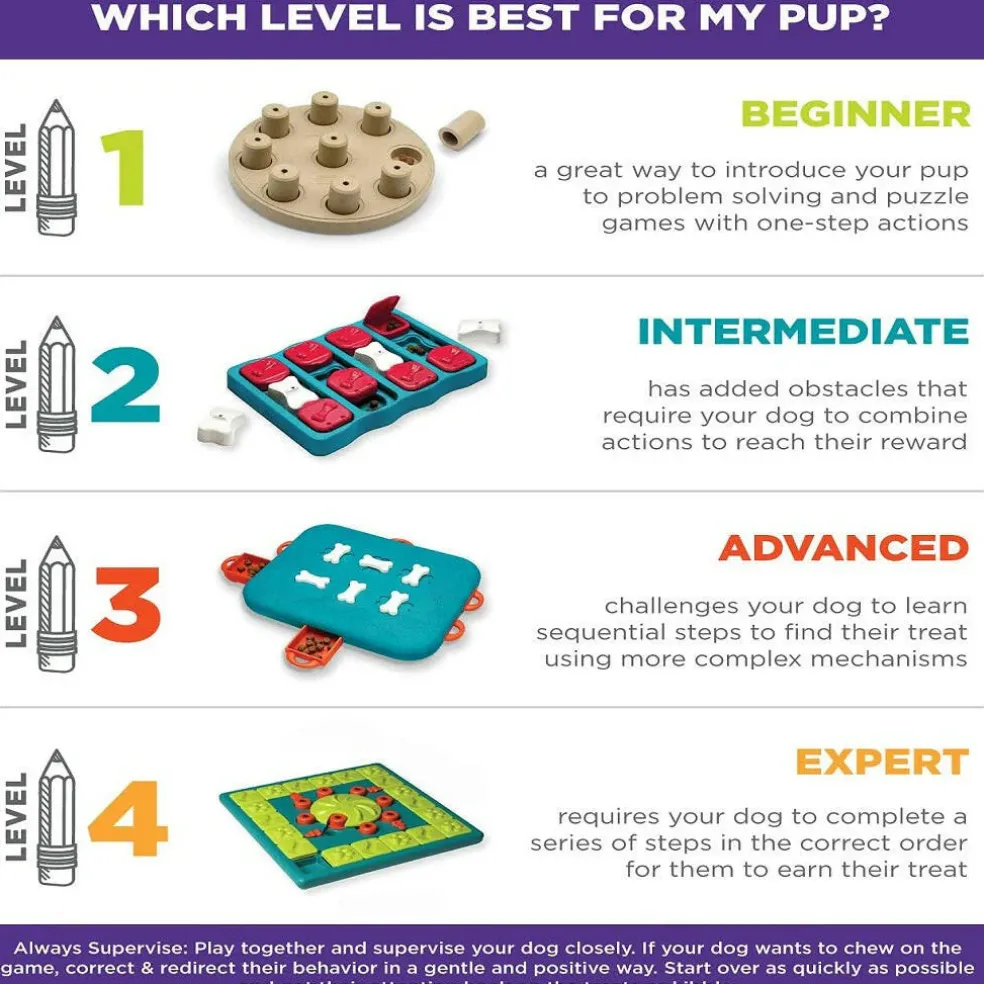 Outward Hound Nina Ottosson MultiPuzzle Interactive Treat Puzzle Toy For Dogs, Expert Level