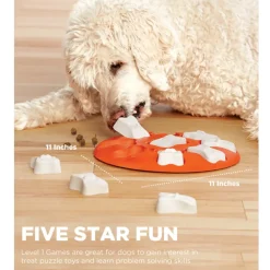 Outward Hound Nina Ottosson Smart Interactive Puzzle Toy For Dogs (Orange)