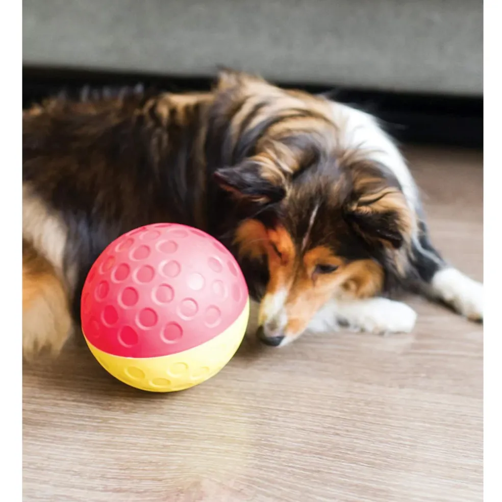 Outward Hound Nina Ottosson Treat Tumble Toy For Dogs - Small (Blue & Yellow)