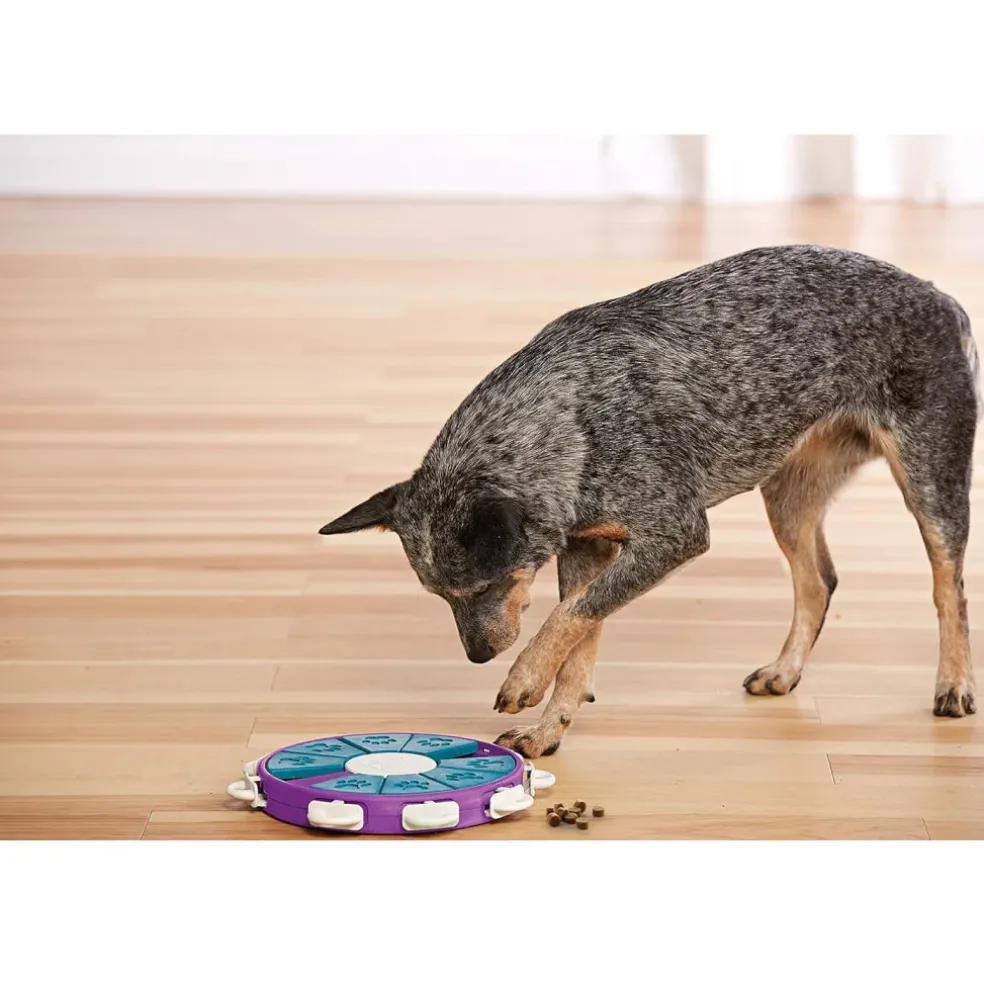 Outward Hound Nina Ottosson Twister Interactive Puzzle Toy For Dogs