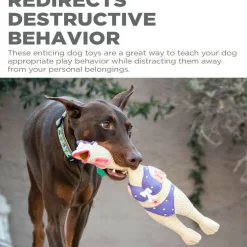 Outward Hound Squawkers Henrietta Latex Rubber Chicken Interactive Toy For Dog (Large)