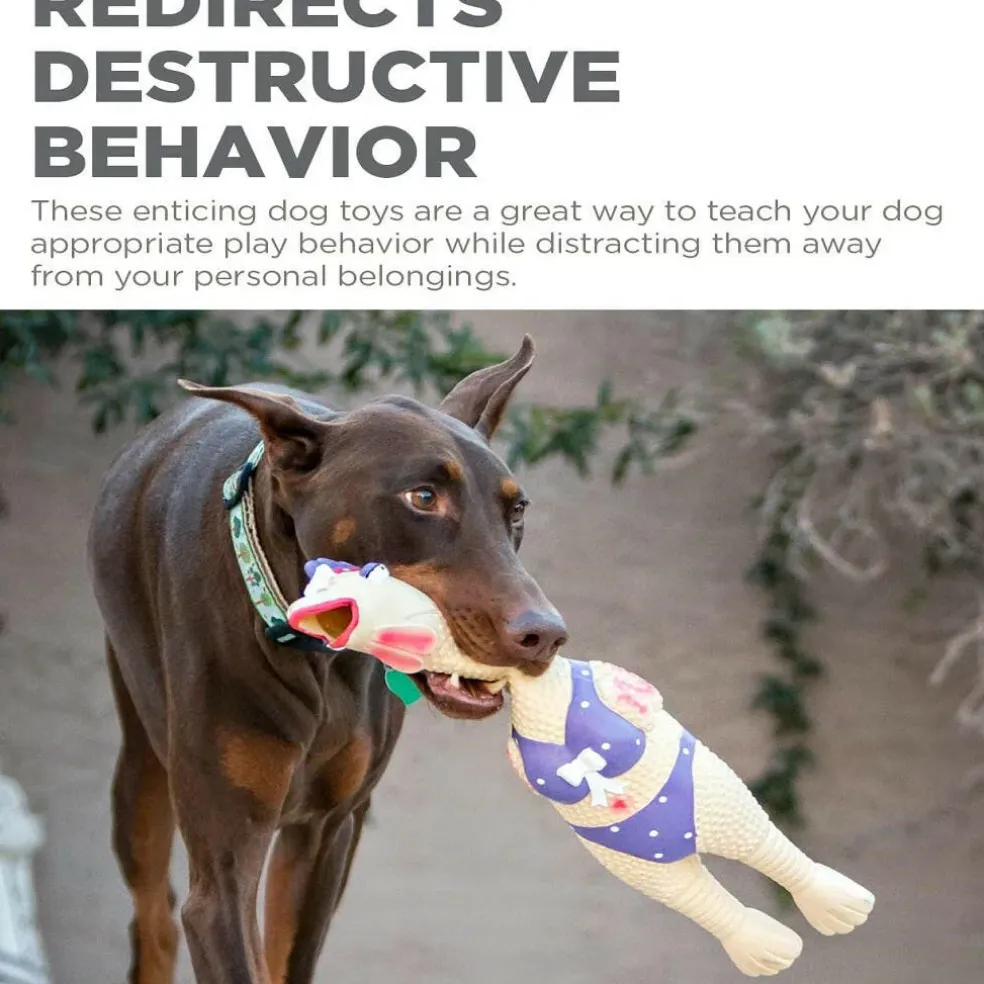Outward Hound Squawkers Henrietta Latex Rubber Chicken Interactive Toy For Dog (Large)